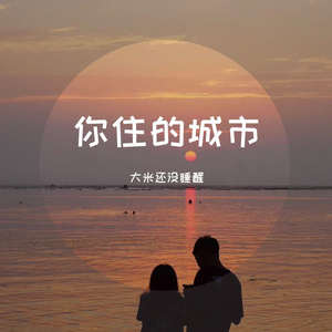 你住的城市