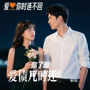 爱债几时还 (Cover 王馨平)