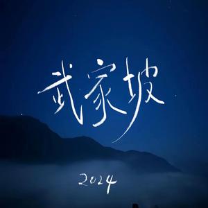 武家坡2024 (新版)