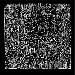 Buncha Guys in Big Hats