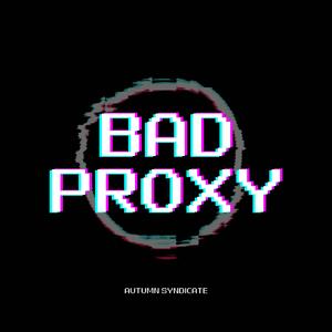 Bad Proxy