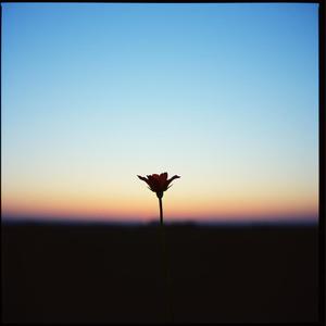 한사람(My Only One)/ 작시 모소모소 by Bitmoon