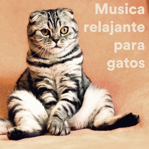 The Cow Goes Moo & Relax