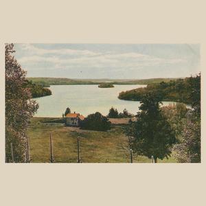 needle in a haystack