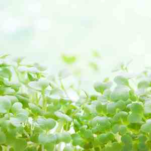 天亮之前 (古筝+水滴声)