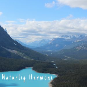 Inre Samklang (Loopbar sekvens)