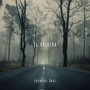 EL VOLVERA