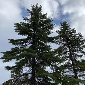 日本は世界のために～世界正義の樹立を目指して