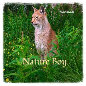 Nature Boy