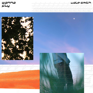 Wanna Fly