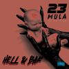 23 Mula - Risk Taker (feat. Domo)