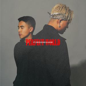 Perfect World (feat. Avacie)
