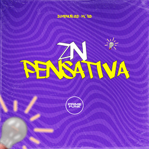 Zn Pensativa