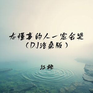 太懂事的人一定会哭 (DJ沧桑版)