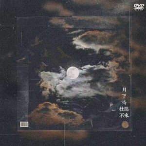 月下待杜鹃不来