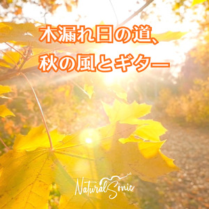 Afternoon Light, Quiet Chords