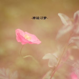 禅境寻梦 (书法)