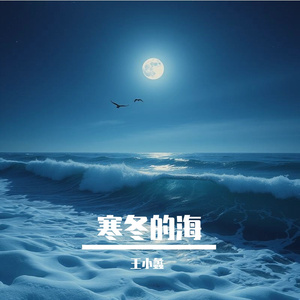 寒冬的海