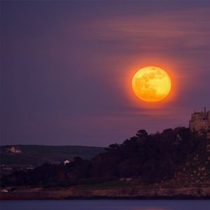 迁徙候鸟的季节温度