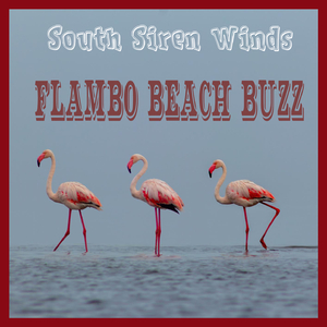 Flambo Beach Buzz