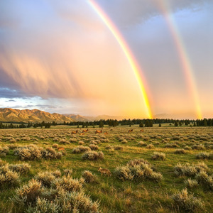 雨降って 地固まる
