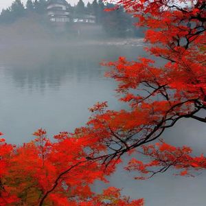 看红尘里的明天