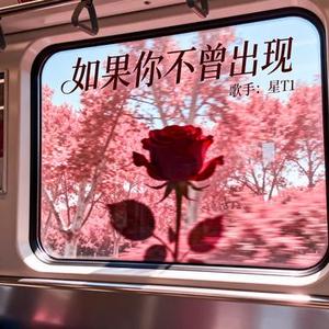 如果你不曾出现