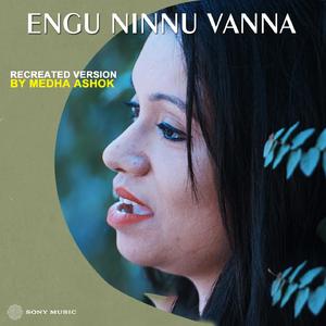 Engu Ninnu Vanna (Cover Version)