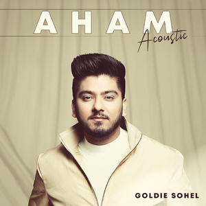 AHAM (Acoustic Version)