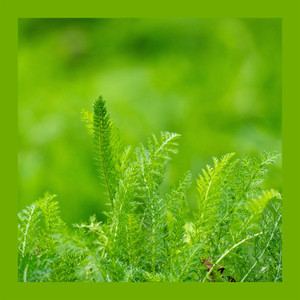 阳光洒进茶馆