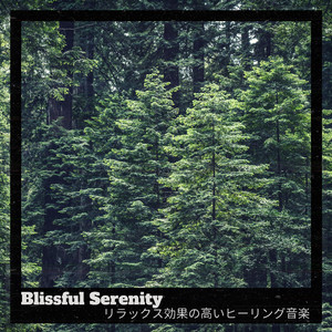 All That You've Seen