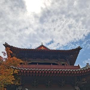 我不是你的宋冬野