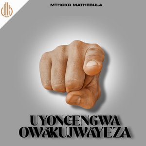 Uyoncengwa Unyoko (Instrumental)