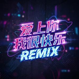 爱上你 我很快乐 (DJ)(Cover 水木年华)