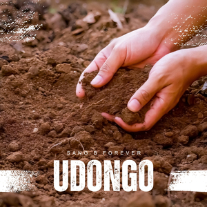 Udongo
