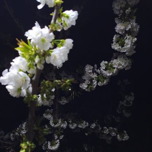 生活给我一巴掌