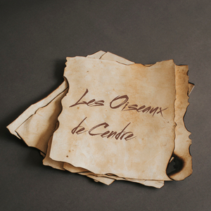 Sous l’Œil du Silence