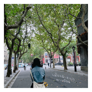 เมื่อหน้าหนาวมาเยือน