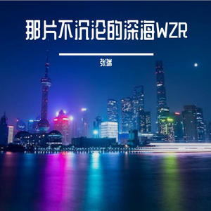 奈何沧海，几曾喧茫WZR