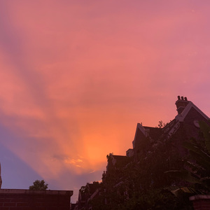 没和你看的晚霞Siren