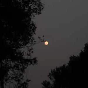 聊表心意（片段）