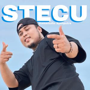 Stecu Stecu