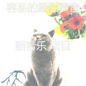 微妙的睡猫心情