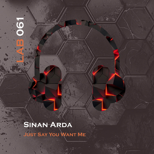 Just Say You Want Me