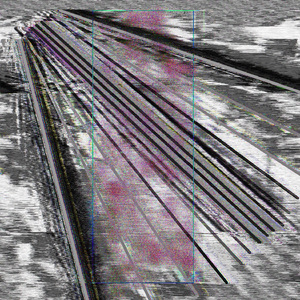 Primetime Hypersensitivity