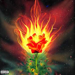 NEW SHXT