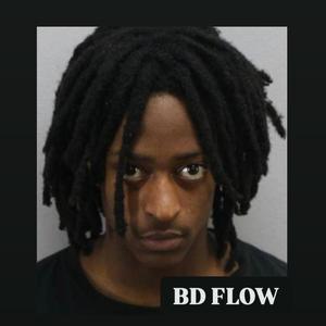 BD Flow (FreeBD)