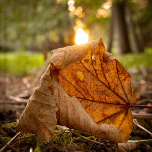 그때처럼 그때처럼