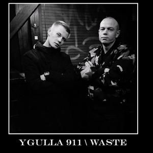 WASTE (feat. Faytas)