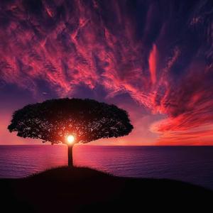 Pain Relief (feat. Scorez)